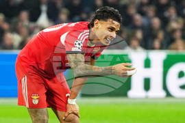 Netherlands Champions League Soccer