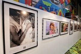 Страсбург - изложба - Христо Петров