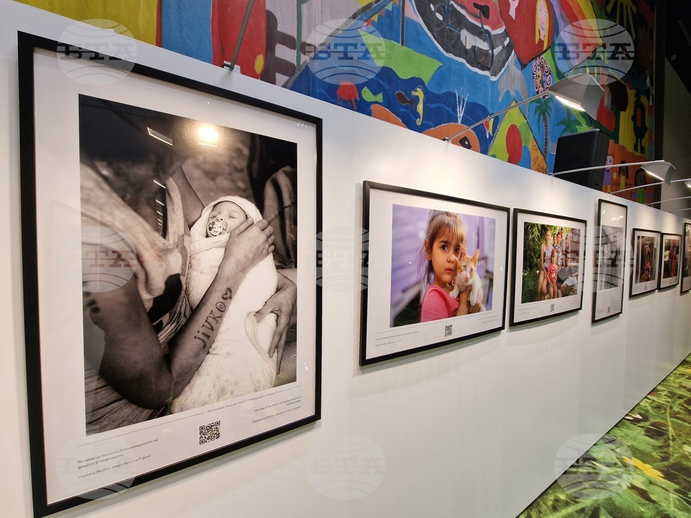 Страсбург - изложба - Христо Петров