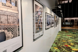 Страсбург - изложба - Христо Петров