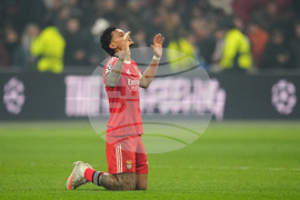 Netherlands Champions League Soccer