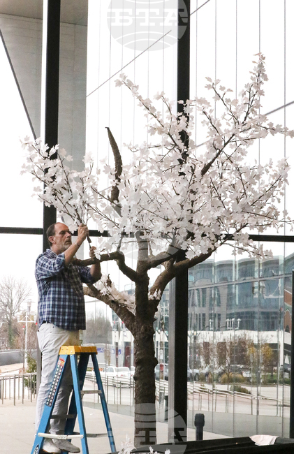 Kentucky Illuminate Tree