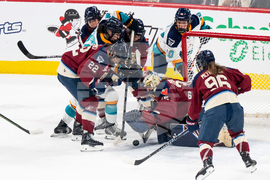 New York Montreal Hockey