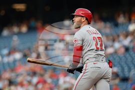 Rays Fraley Baseball