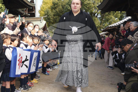 Japan Sumo