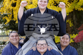 Japan Sumo