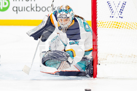 New York Montreal Hockey