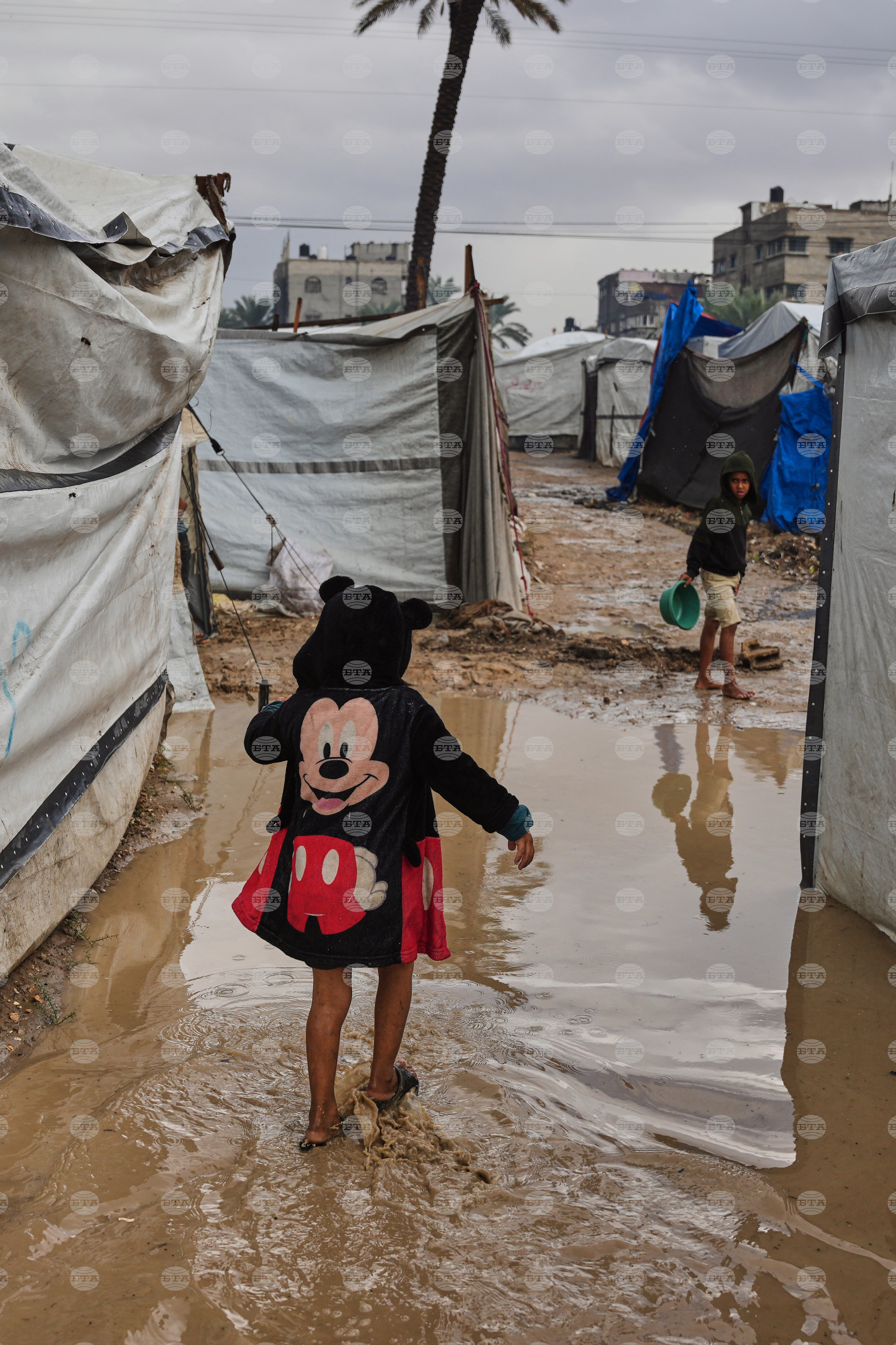 Top Vertical Photos Photo Gallery