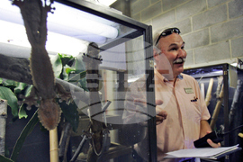 International Pet Trade