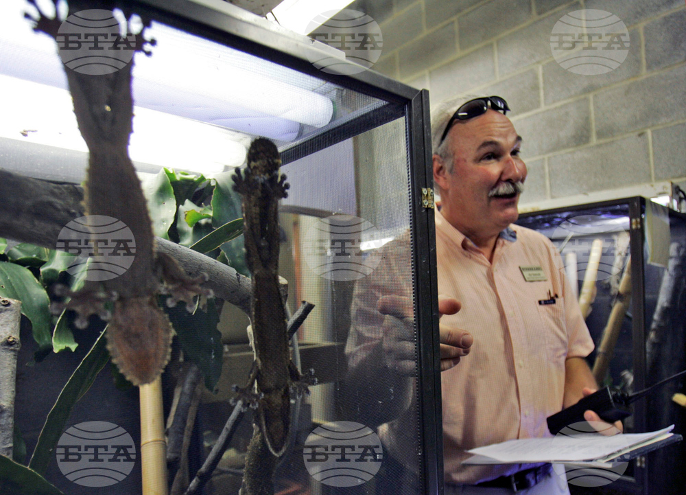 International Pet Trade