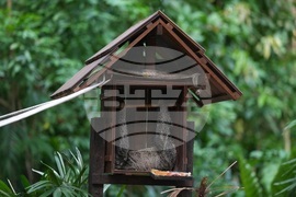 International Pet Trade