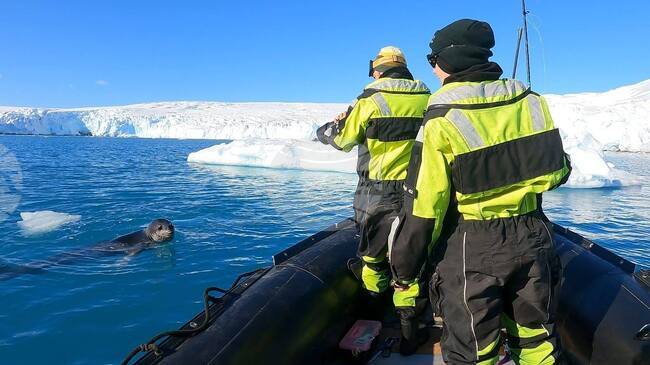  След отваряне на българската антарктическа база „Св. Климент Охридски” на остров Ливингстън започна същинската работа на 34-тата експедиция 