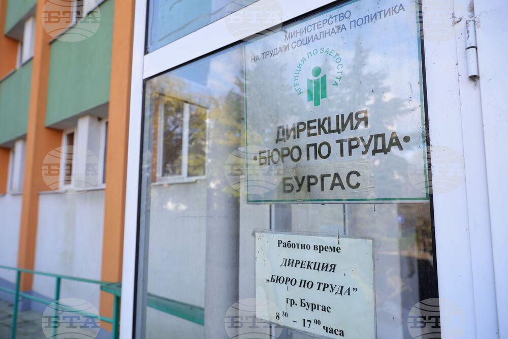 Безработицата през ноември остава на ниско ниво, над 14 000 души са започнали работа, съобщиха от Агенцията по заетостта