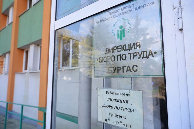 Безработицата през ноември остава на ниско ниво, над 14 000 души са започнали работа, съобщиха от Агенцията по заетостта