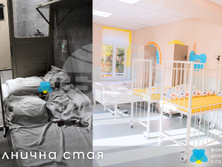 Снимка: Фондация „За доброто“