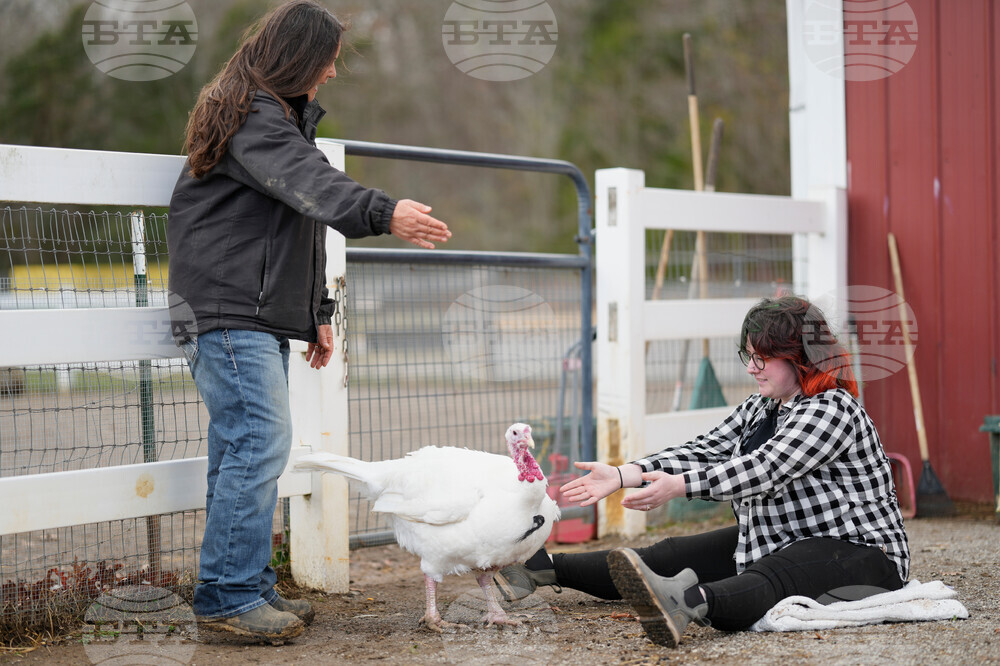 Turkey Cuddle Therapy