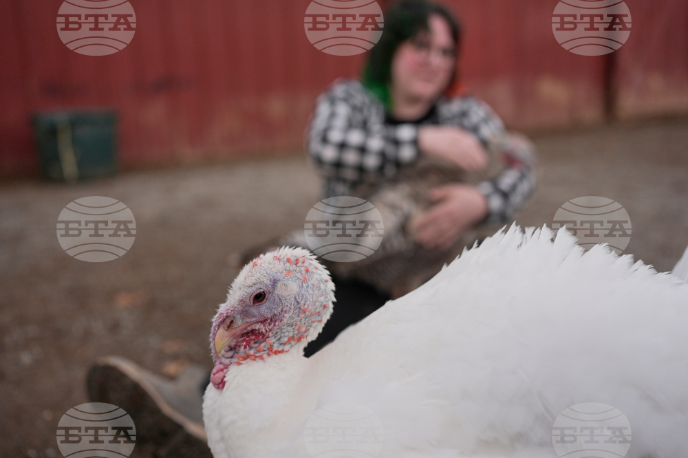 Turkey Cuddle Therapy