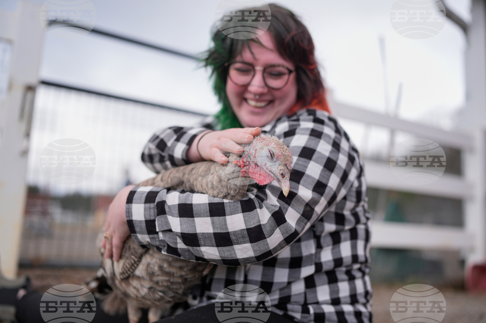 Turkey Cuddle Therapy