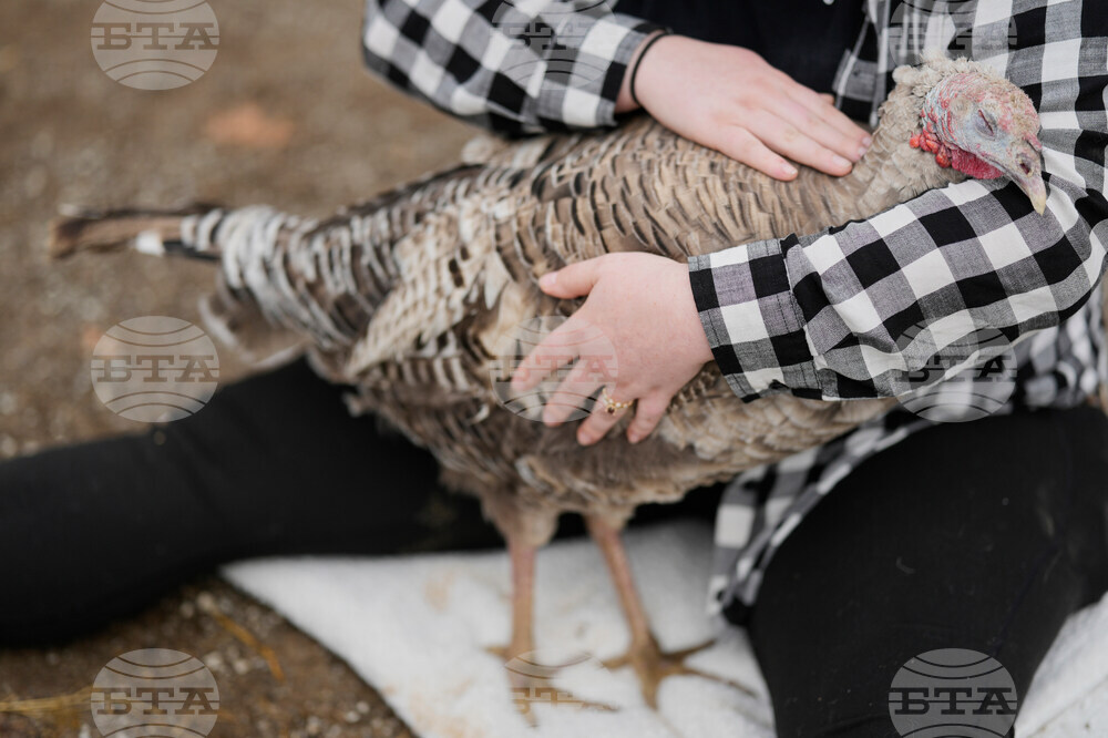 Turkey Cuddle Therapy