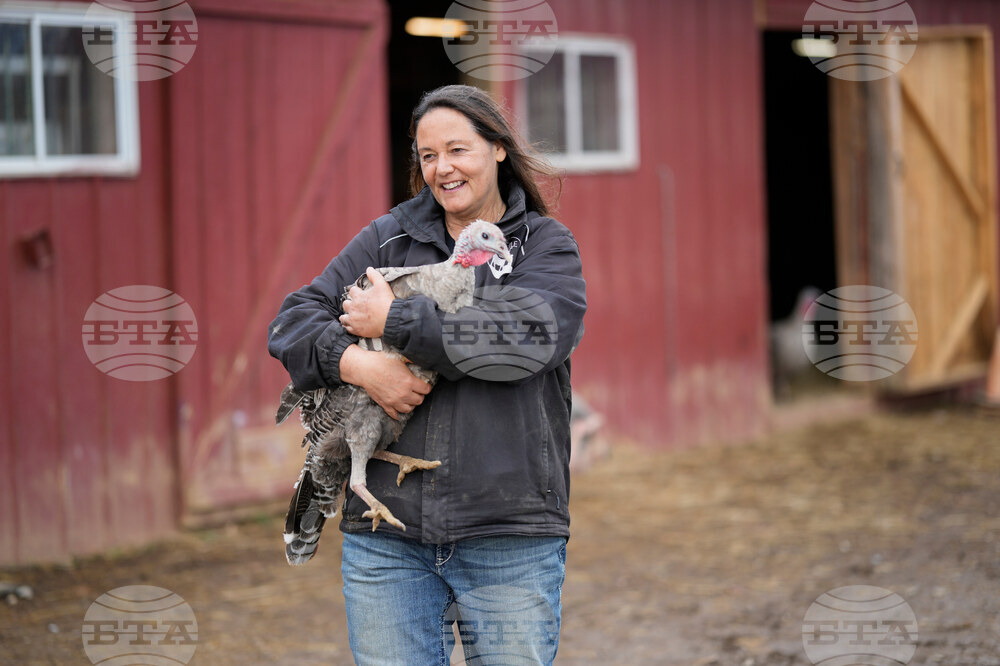 Turkey Cuddle Therapy