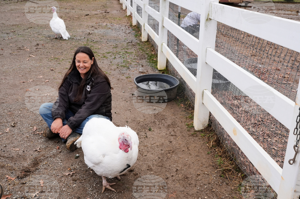 Turkey Cuddle Therapy