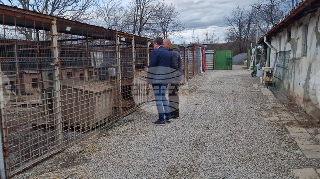 Нова амбулатория беше открита в Общинския приют за безстопанствени кучета в Перник