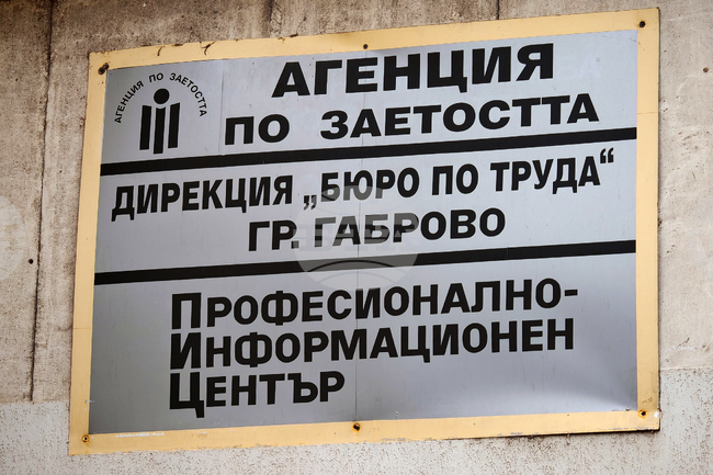 Безработицата за декември остава на ниско ниво, посочват от Агенцията по заетостта
