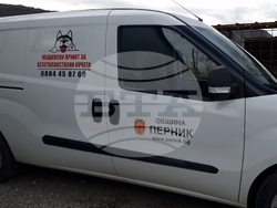 Перник - Общински приют за безстопанствени кучета - нова амбулатория