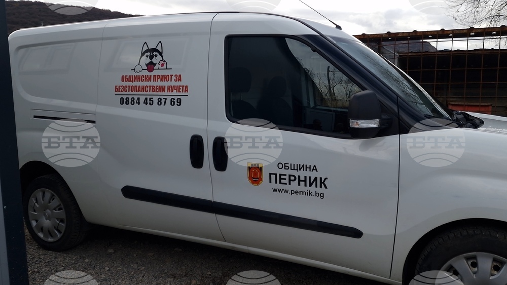 Перник - Общински приют за безстопанствени кучета - нова амбулатория