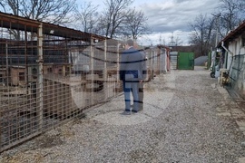 Перник - Общински приют за безстопанствени кучета - нова амбулатория