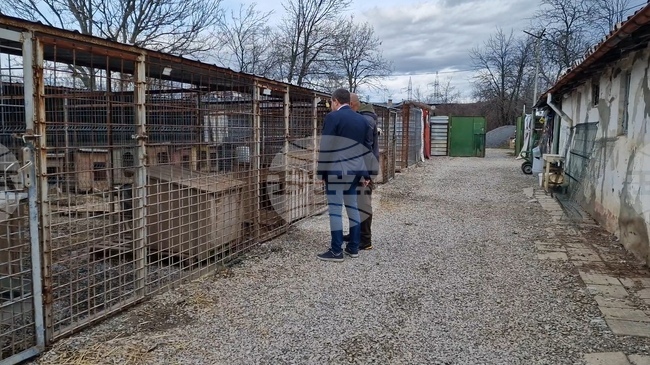 Перник - Общински приют за безстопанствени кучета - нова амбулатория