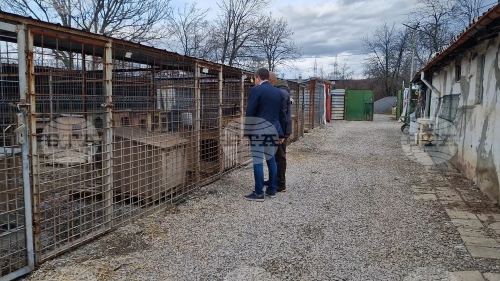 Перник - Общински приют за безстопанствени кучета - нова амбулатория