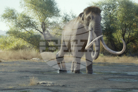 TV-Prehistoric Planet