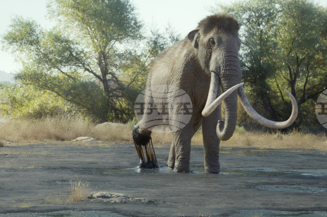 TV-Prehistoric Planet