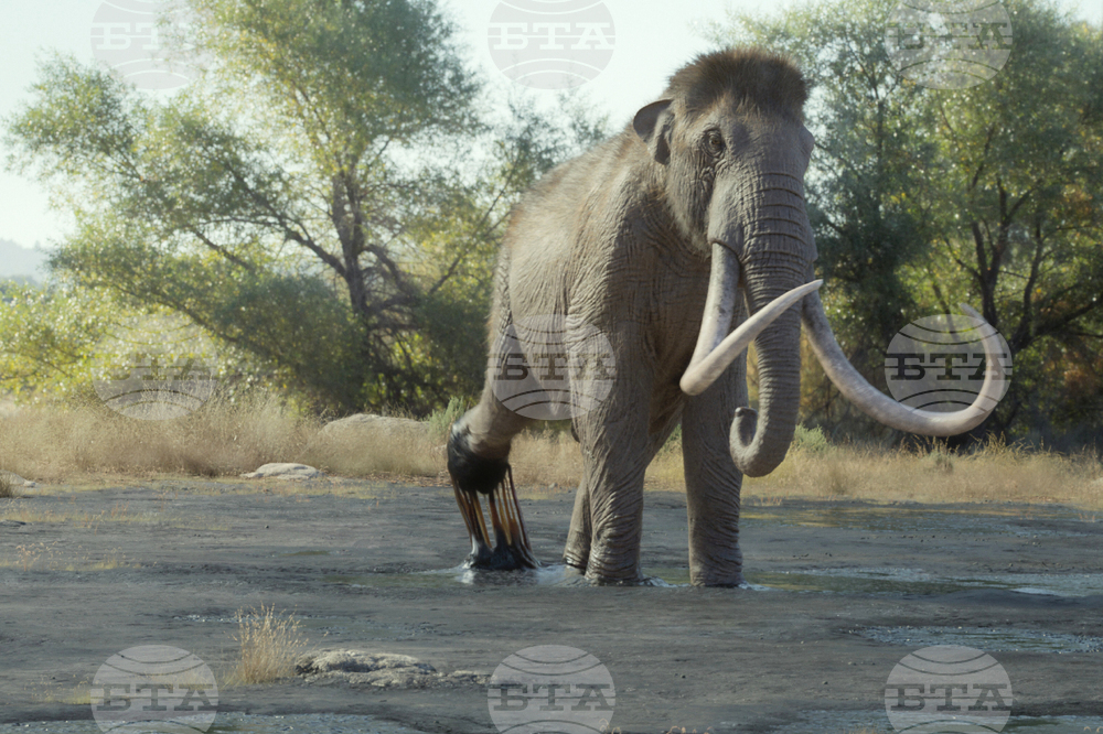 TV-Prehistoric Planet