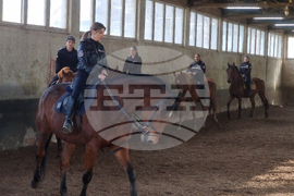 Столична дирекция на вътрешните работи - конна полиция - брифинг