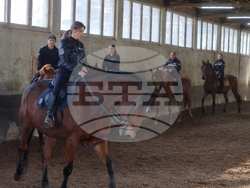 Столична дирекция на вътрешните работи - конна полиция - брифинг