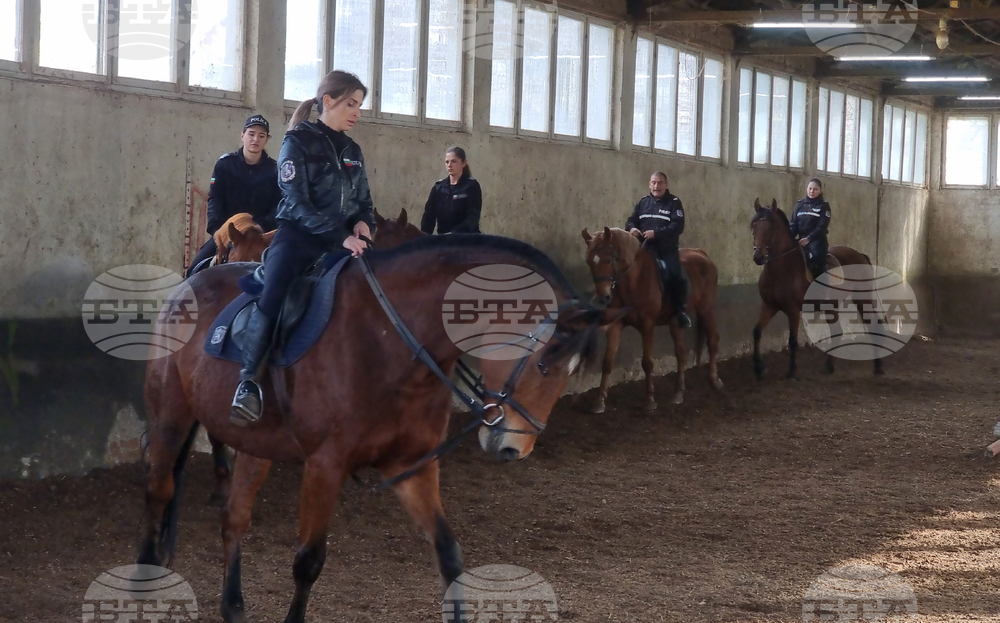 Sofia Police to Sell 11 Retired Horses as Activists, MEP and Animal-Rights Group Push for Reform of Service-Animal Rules