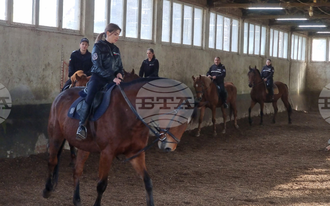 Столична дирекция на вътрешните работи - конна полиция - брифинг
