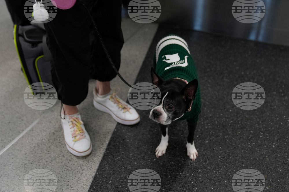 Holiday Travel Chicago