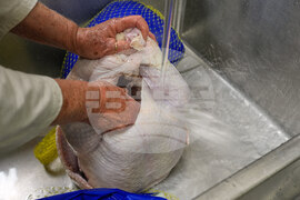 Government Shutdown Giving Thanks