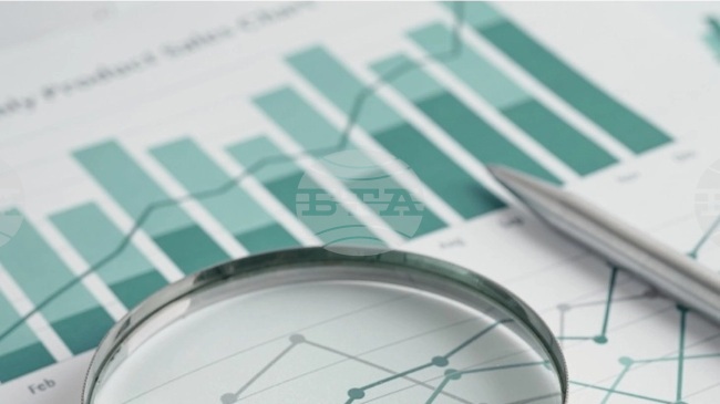 МИНА: Черногорските медии отчитат печалба от 600 000 евро за 2024 г.