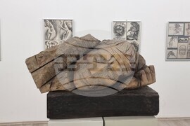 Плевен - Красимир Яков - изложба - откриване