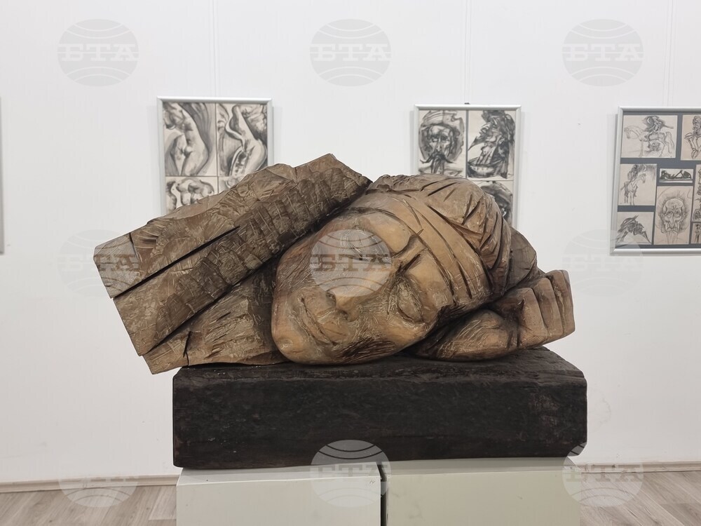 Плевен - Красимир Яков - изложба - откриване