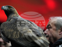 Germany Champions League Soccer