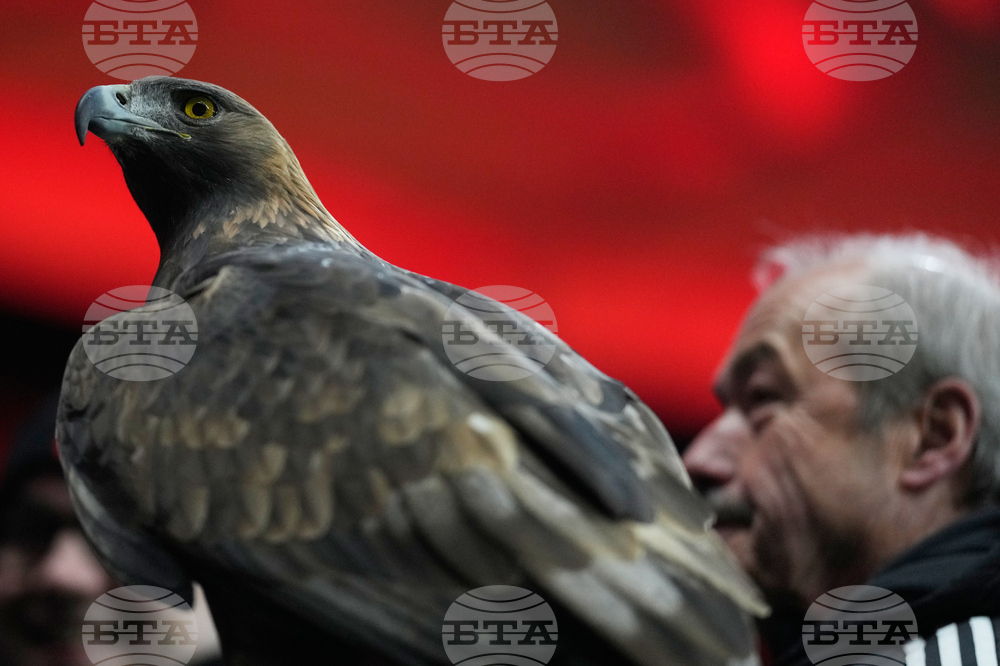 Germany Champions League Soccer