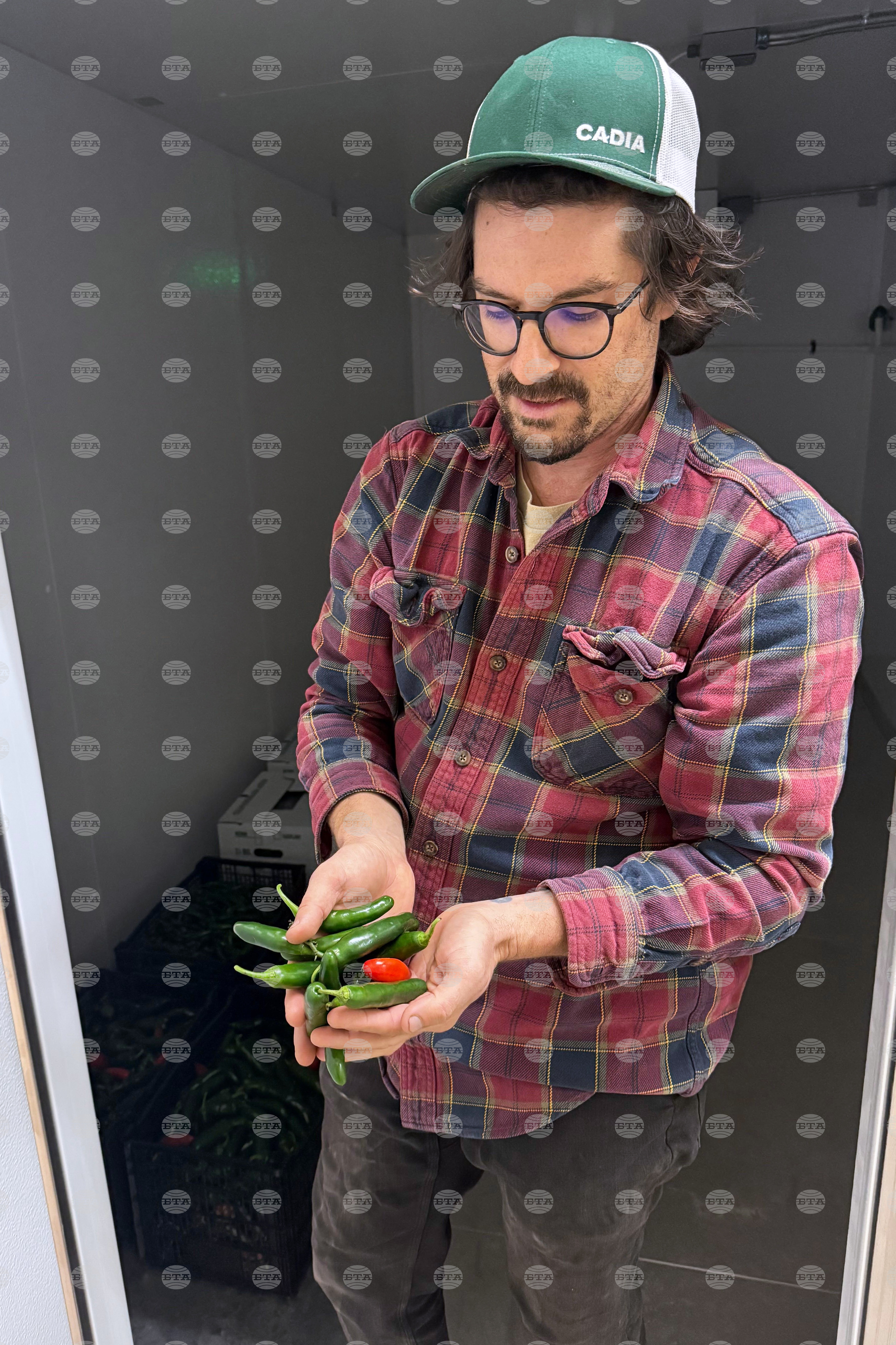 Growing Food Cooperatives