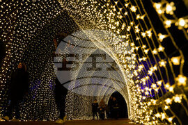 Holiday Lights Chicago