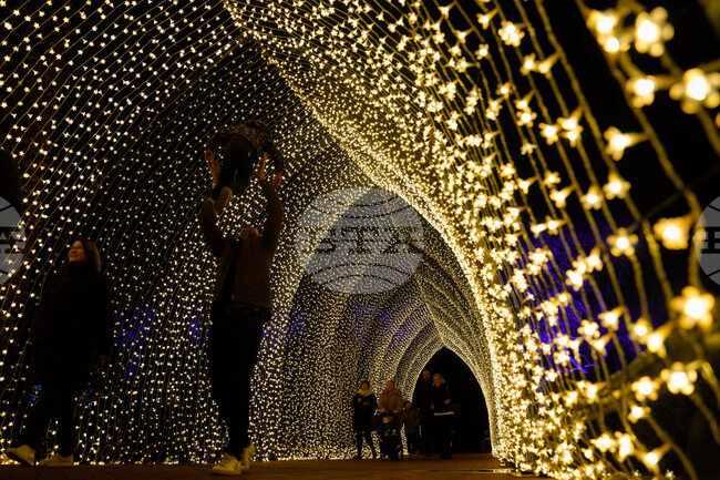 Holiday Lights Chicago