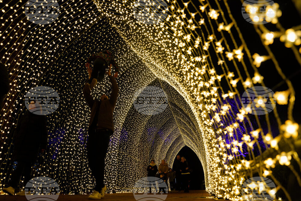 Holiday Lights Chicago